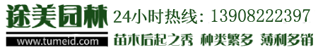 北京工作服定做_北京T恤衫定制_北京廣告衫訂做-【壹戰(zhàn)誠(chéng)銘】文化衫訂制